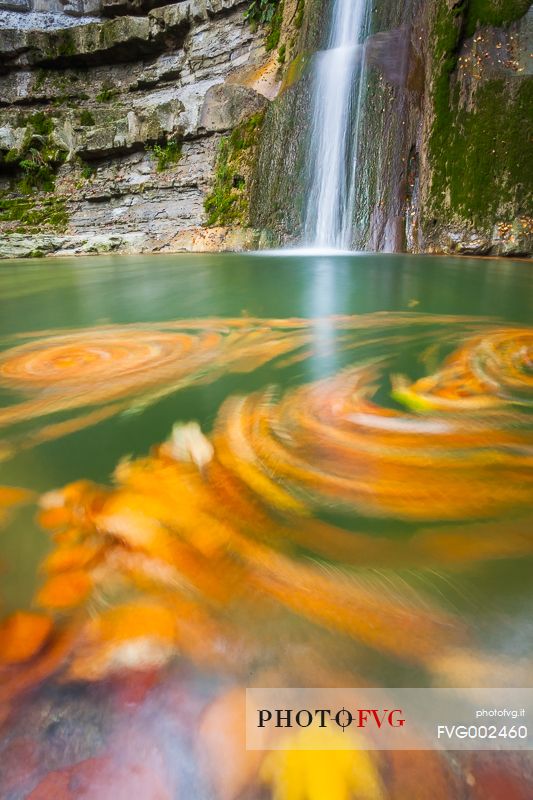 Vortex of autumn leaves in the Acquacheta waterfall