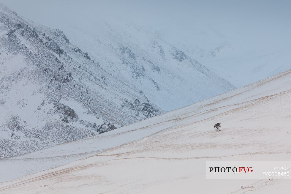 Graphisms of Piano Grande's hills, at the slopes of Monte Vettore, after a snowfall 