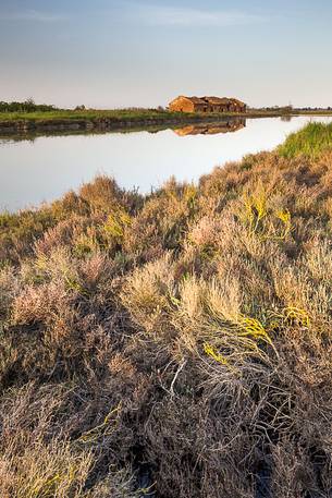 An old house for fishing anguilla on the Comacchio's lagoon at the dusk