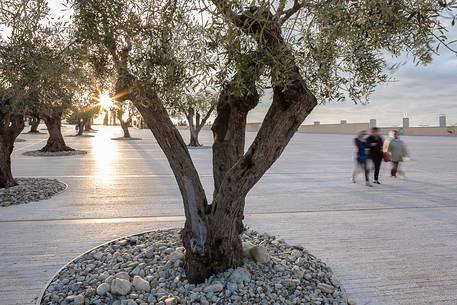 Some pilgrims walk on the square in front of Padre Pio's church at the sunrise