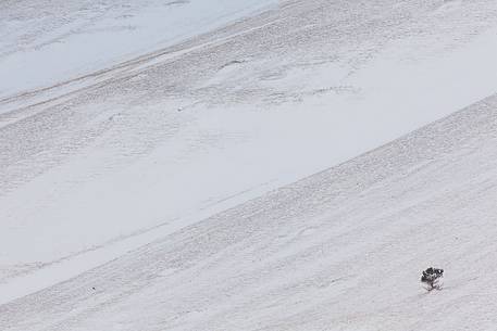 Graphisms of Piano Grande's hills, at the slopes of Monte Vettore, after a snowfall 