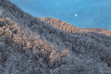 First rays of light and moon over the icy forest