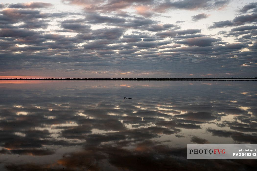 View over the Flamenco lagoon, a salt lagoon in the Paraguayan Chaco, Reserva Natural Campo Mara natural reserve, Paraguay, America