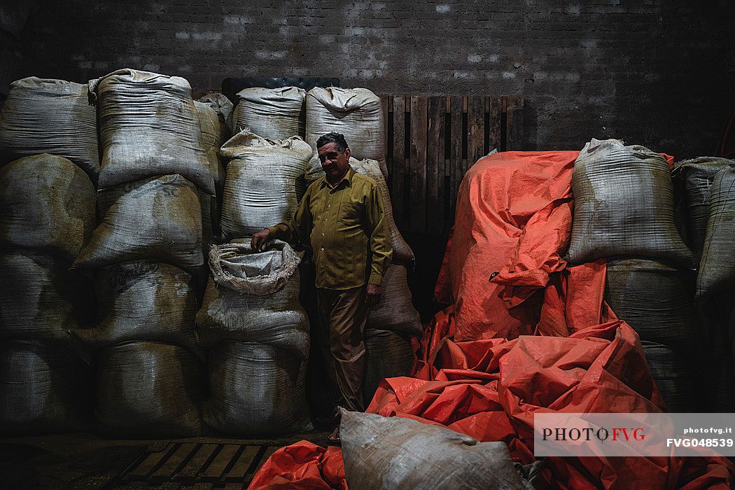 Paraguayan man inside a factory for the production of Yerba Mate in Concepcin, Paraguay, America