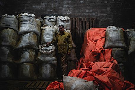 Paraguayan man inside a factory for the production of Yerba Mate in Concepcin, Paraguay, America