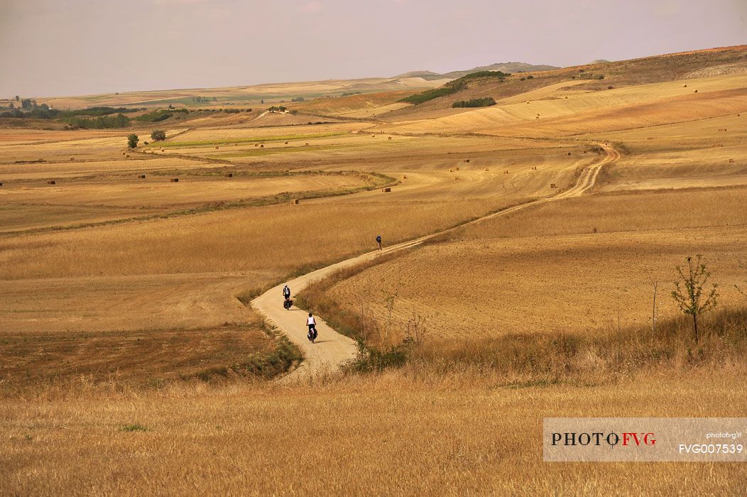 Bikers in Tierra de Campos, Way of St.  James, Camino de Santiago to Compostela, Burgos, Castile and Leon, Spain