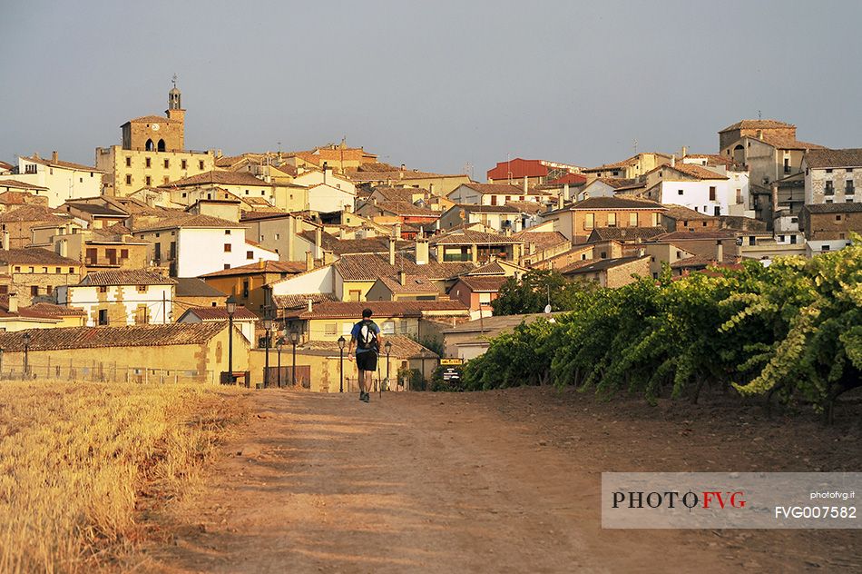 Pilgrim in the Way of St. James, Camino de Santiago to Compostela, arrival at Cirauqui in Navarre, Spain