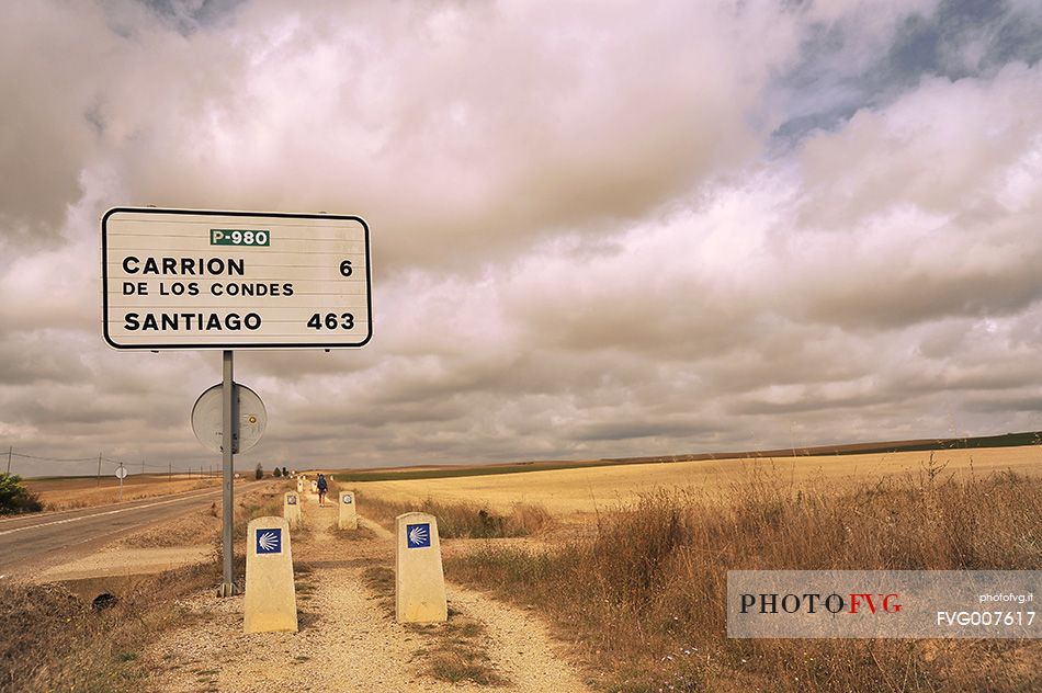 Way of St.James - Walking to Carrion de los Condes