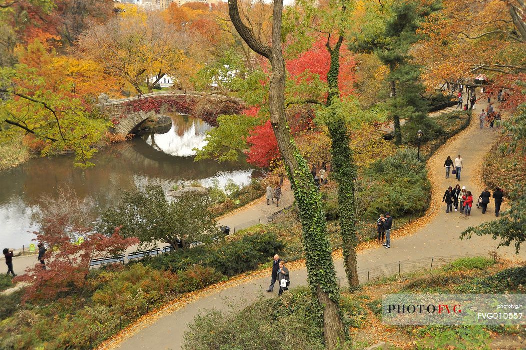 The Pond of Central Park