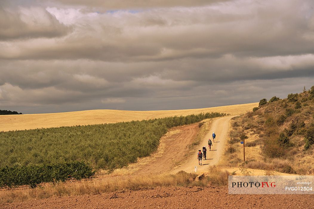 Way of St. James, Pilgrims to Los Arcos, Camino de Santiago to Compostela, Pamplona, Navarre, Spain
