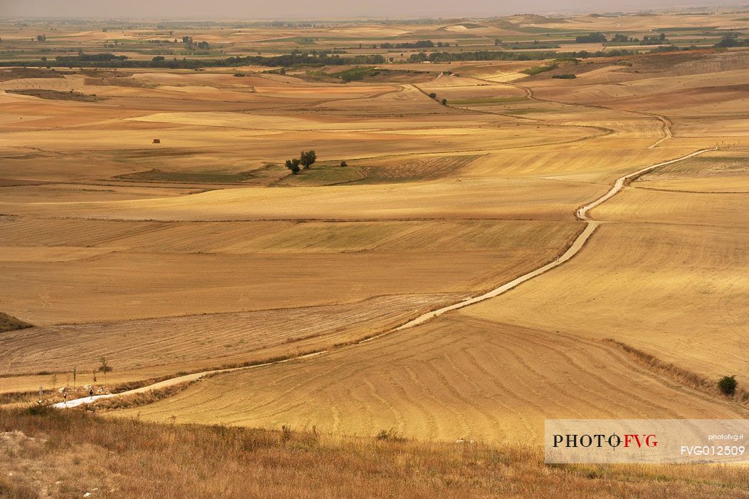 Way of St.James - Tierra de Campos