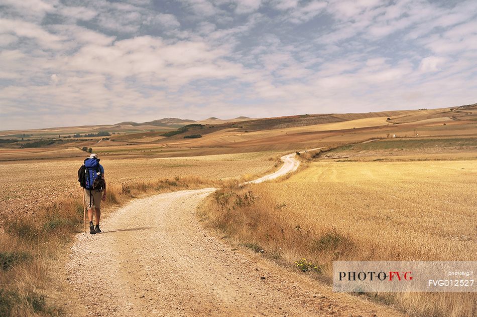 Way of St.James, Pilgrim walking in the Tierra de Campos, Burgos, Castile and Leon, Spain
