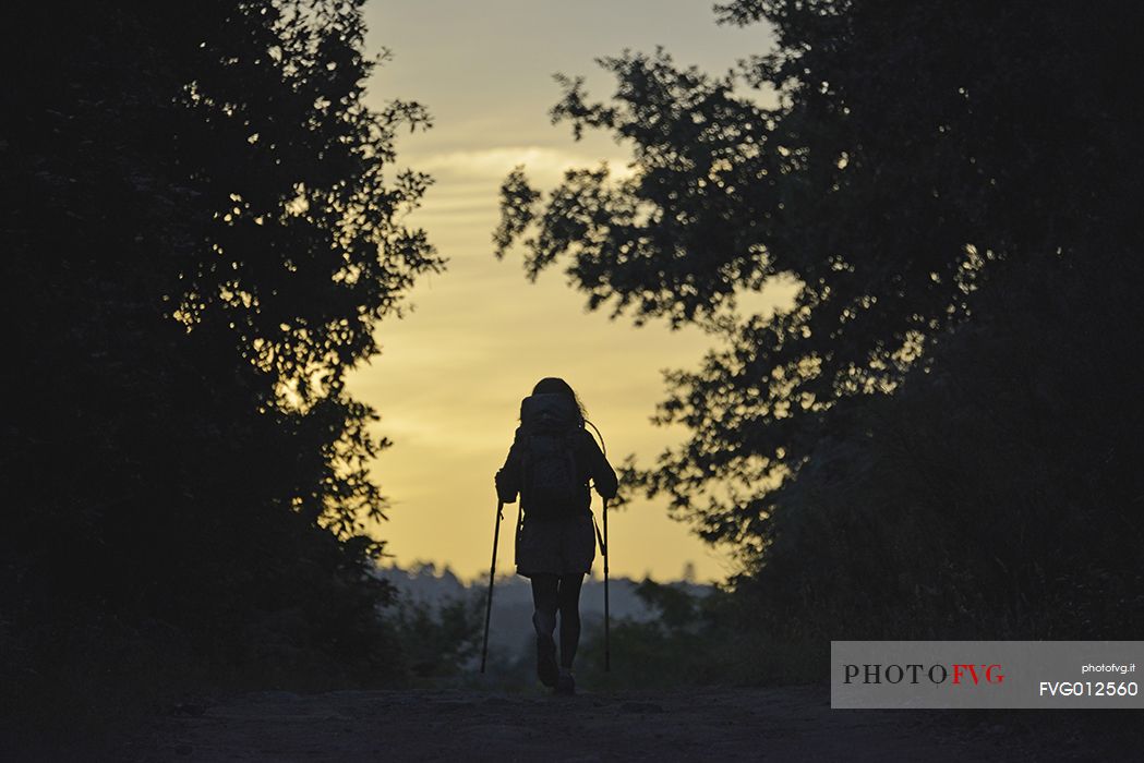 young girl walking at surnrise along the Way of St. James few kilometers from Santiago, Santiago de Compostela, Galicia, Spain