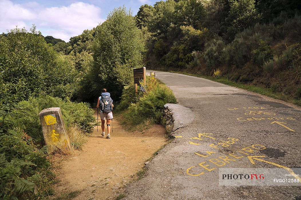 Way of St.James - To O Cebreiro