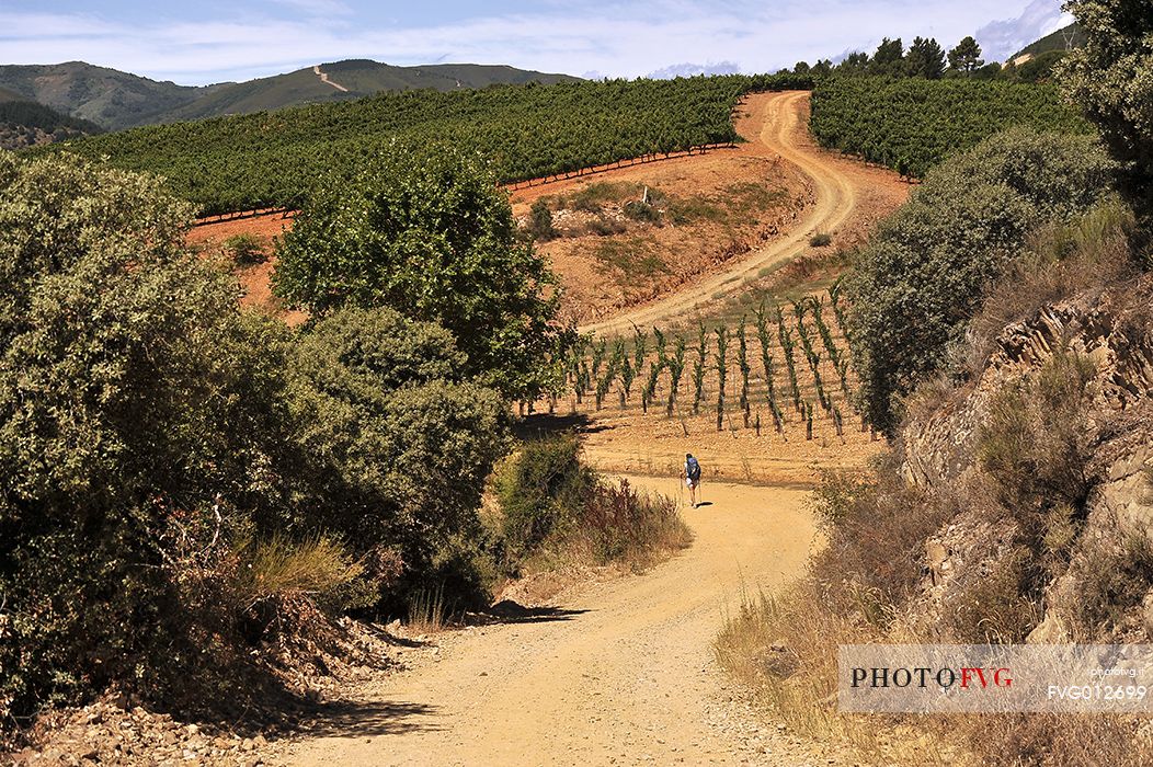 Way of St.James - Pilgrim walking to Villafranca del Bierzo