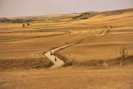 Bikers in Tierra de Campos, Way of St.  James, Camino de Santiago to Compostela, Burgos, Castile and Leon, Spain