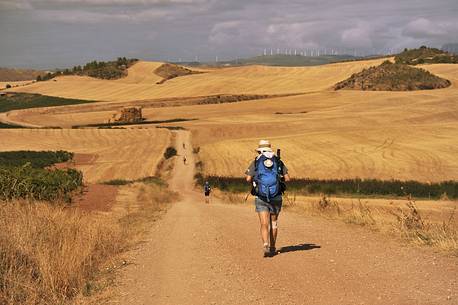 Way of St.James - Pilgrims walking to Los Arcos