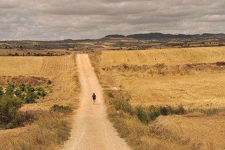 Way of St.James - Lonely pilgrim walking to Torres del Rio, Navarre, Spain