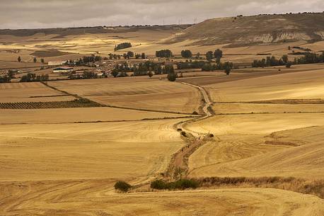 Way of St.James - Tiierra de Campos