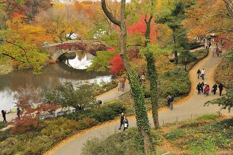 The Pond of Central Park