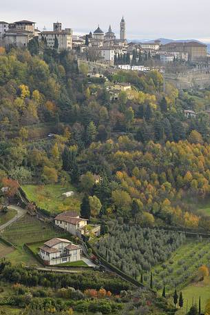 Skyline of the Bergamo upper city and its towers