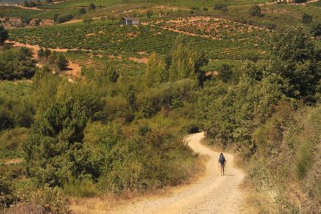Way of St. James, Pilgrim walking to Villafranca del Bierzo, Castile and Leon, Spain
