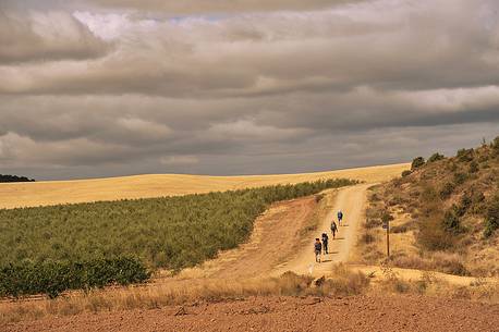 Way of St. James, Pilgrims to Los Arcos, Camino de Santiago to Compostela, Pamplona, Navarre, Spain
Way of St. James, Pilgrims to Los Arcos, Camino de Santiago to Compostela, Pamplona, Navarre, Spain
