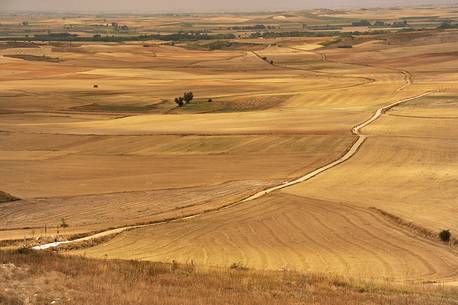 Way of St.James - Tierra de Campos