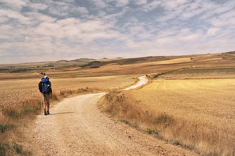 Way of St.James, Pilgrim walking in the Tierra de Campos, Burgos, Castile and Leon, Spain
