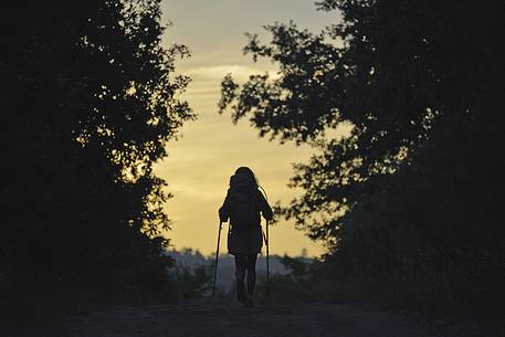 young girl walking at surnrise along the Way of St. James few kilometers from Santiago, Santiago de Compostela, Galicia, Spain young girl walking at surnrise along the Way of St. James few kilometers from Santiago, Santiago de Compostela, Galicia, Spain