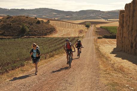 Way of St.James - Walkers and bikers in the Mesetas