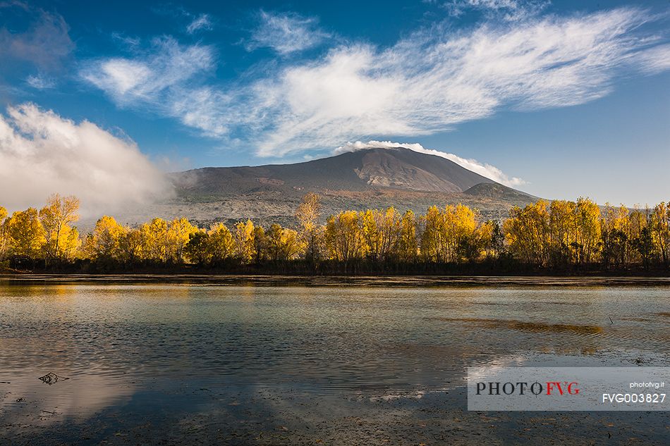 Row of poplars in autumn on the banks of the Gurrida lake