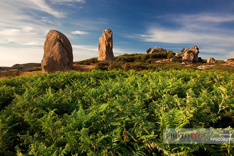 Beetween Nebrodis and Peloritans mountain, stand the imposing rocks of unclear origin (natural or anthropogenic) called Megaliths of Argimusco.