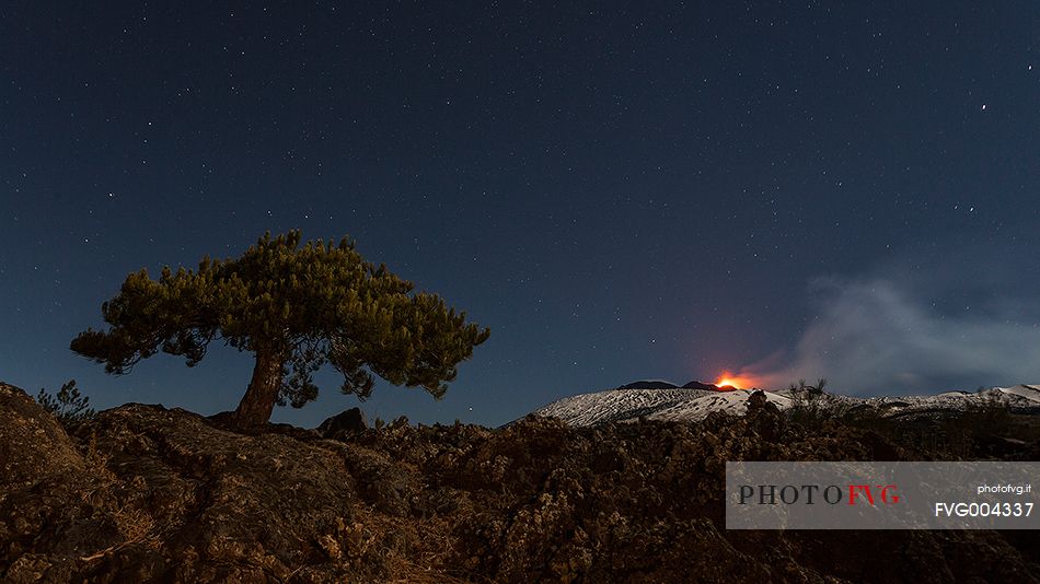 A lone tree stands out against the starry sky beyond the Mount Etna eruption