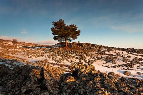 Contrada Milia, south-west slope of Etna, a rare snowfall at low altitude covers part of the rocks in which stands a pine. Contrada Milia, south-west slope of Etna, a rare snowfall at low altitude covers part of the rocks in which stands a pine.
