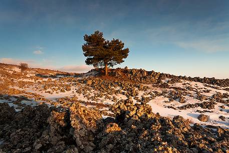 Contrada Milia, south-west slope of Etna, a rare snowfall at low altitude covers part of the rocks in which stands a pine.