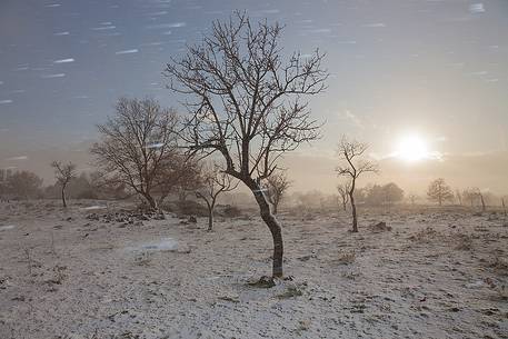 Etna south side, snowflakes like meteors in the air, it is the beginning of what will turn into a powerful blizzard.