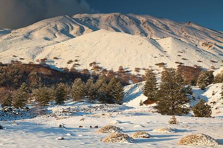 Monte Frumento delle Concazze snow-covered. In the foreground some bushes of Astragalus siculus, an endemic plant of Sicily.