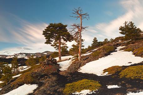 At the end of winter, the temperatures begin to melt snow at lower altitudes on Etna