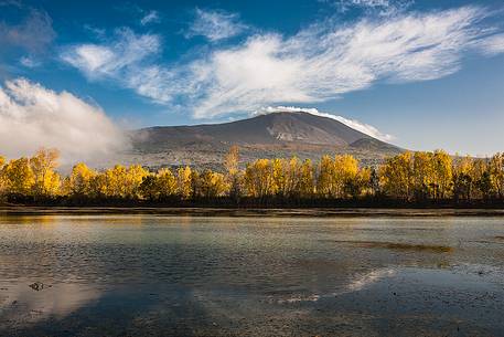 Row of poplars in autumn on the banks of the Gurrida lake