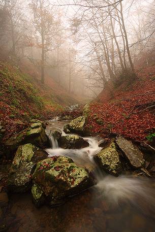 Stream in the fog