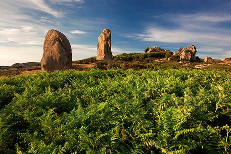 Beetween Nebrodis and Peloritans mountain, stand the imposing rocks of unclear origin (natural or anthropogenic) called Megaliths of Argimusco.