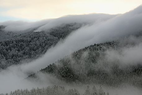 Winter in the Cansiglio Forest, Italy. The previous night, a light snowfall accompanied by intense cold crystallized the ice even on the smallest sprig. At dawn the fog swept fast through the folds of the wood by adding magic to magic. For short moments the light has opened a gap between the clouds illuminating the woods. 