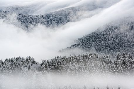 Winter in the Cansiglio Forest, Italy. The previous night, a light snowfall accompanied by intense cold crystallized the ice even on the smallest sprig. At dawn the fog swept fast through the folds of the wood by adding magic to magic. For short moments the light has opened a gap between the clouds illuminating the woods. 