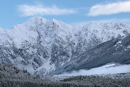 Cansiglio forest and in the background the Cavallo mountain range, Veneto, Italy. Cansiglio forest and in the background the Cavallo mountain range, Veneto, Italy.