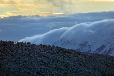 The Cansiglio forest and the slow flowing of the mists, Veneto, Italy, Europe