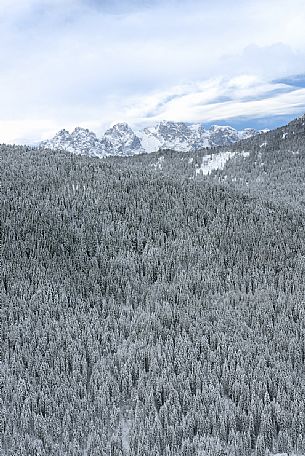 Comelico valley in a winter day, in the background the Marmarole peaks, dolomites, Veneto, Italy, Europe