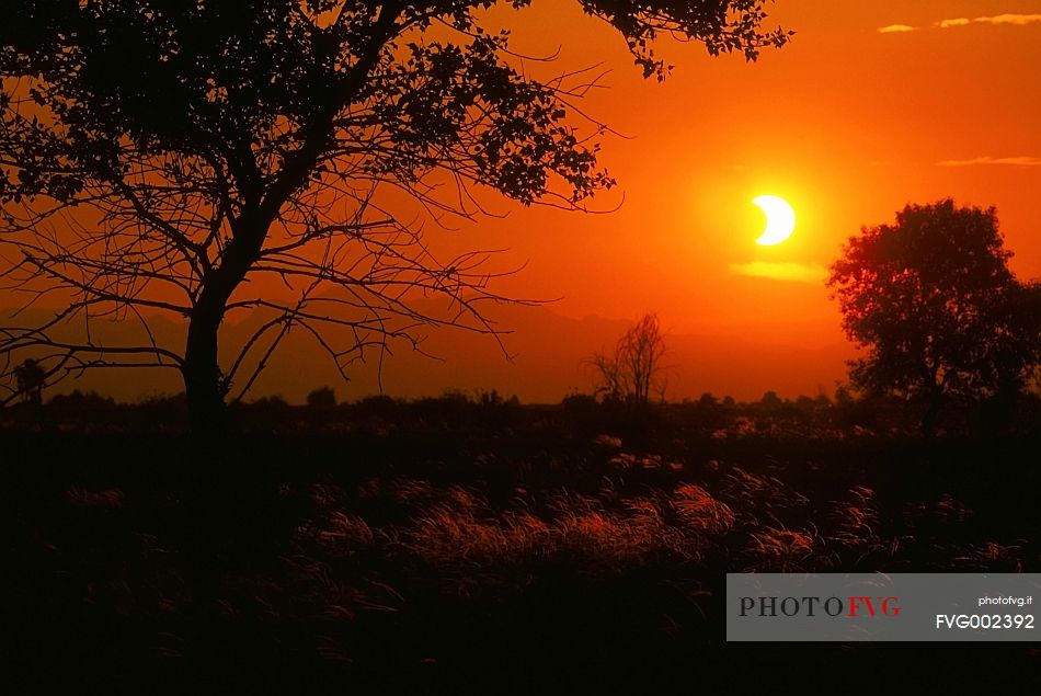 Eclipse of the sun in steppic prairies of Magredi Friulani