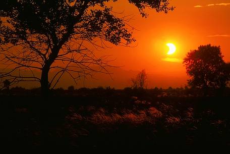 Eclipse of the sun in steppic prairies of Magredi Friulani