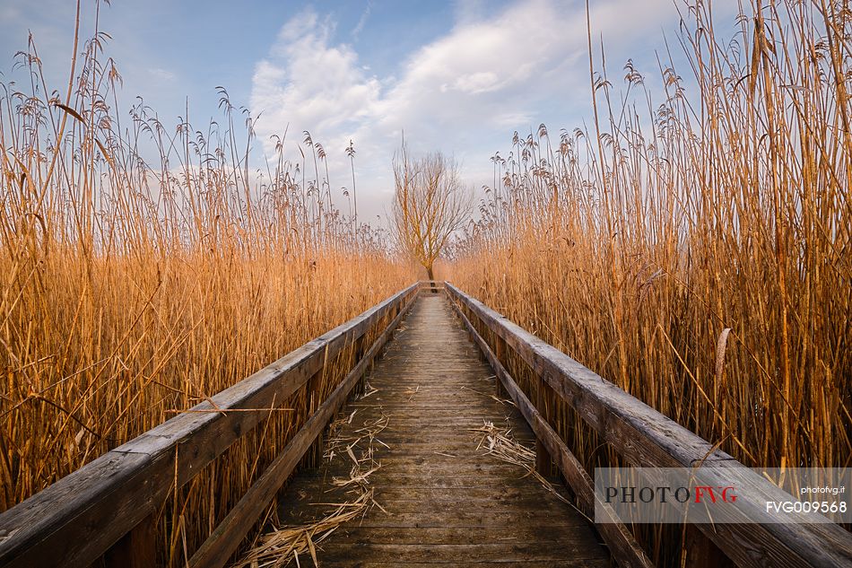 Path of Posta fibrin's lake